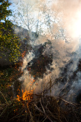 Strong smoke from fire.  Cleaning fields of reeds, dry grass. Natural disaster