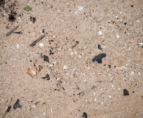 Sandy backdrop ready for design