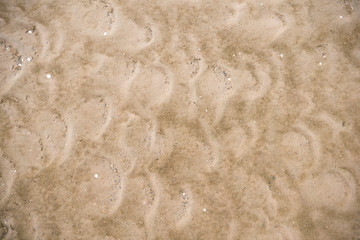 Ripples in wet sand background texture. Beach sand background