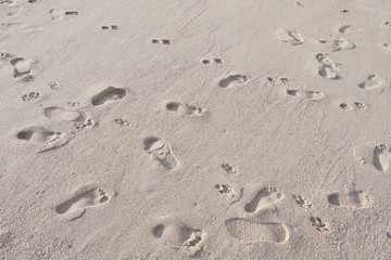 Fototapeta na wymiar footprints on a sandy beach