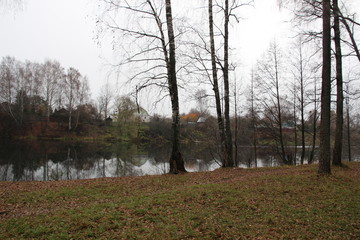 forest in autumn on river coast near village in cloudy misty morning