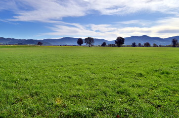 Grüne Wiesen im Dreisamtal
