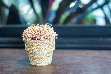 Fototapeta na wymiar Flowers in straw rope pots