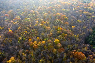 Fototapeta na wymiar Autumn forest aerial drone view