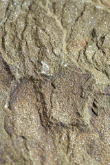 Grainy texture of greenish-beige volcanic stone. Natural backgrounds and textures. Vertical.