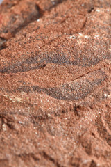 Grainy texture of reddish-orange natural stone. Natural backgrounds and textures. Construction and finishing. Vertical.