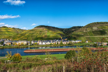 Obraz premium Zeltingen-Rachtig an der Mosel mit Staustufe