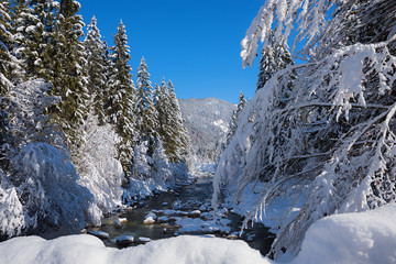 traumhaft schöne Winterlandschaft an der Weissach bei Kreuth in oberbayern