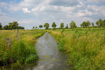 Fototapeta na wymiar Priel durch grüne Felder in Norddeutschland