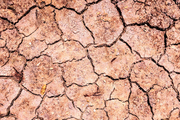 Texture of red, arid soil with fine cracks in the surface