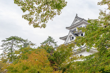 Naklejka premium 郡上八幡城 岐阜県郡上市 Gujo Hachiman Castle Gifu Gujo city