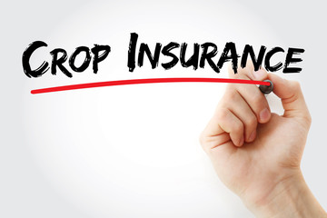 Crop Insurance text with marker, concept background