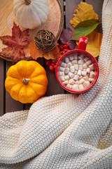 Red mug with cocoa and marshmallows. Autumn mood, warming drink. Cozy atmosphere