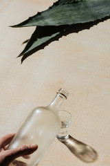 Mezcal is a mexican distilled alcoholic beverage made from any type of oven-cooked agave. 