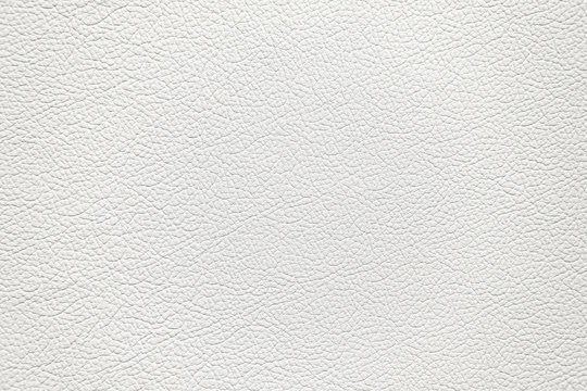 white leather texture. White background
