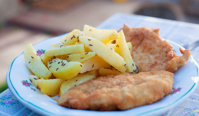 Wiener Schnitzel with French Fries.