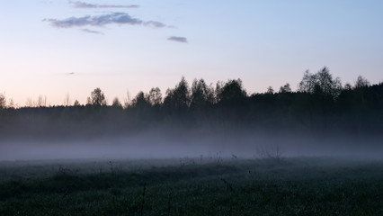 Obraz na płótnie Canvas Magnificent heavy morning mist in landscape. Autumn creamy fog in countryside.