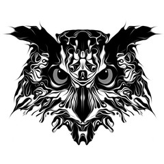 owl isolated on white background