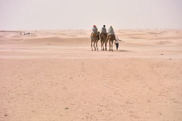 Bedouins in traditional clothes riding camels in sahara desert, Tunis.