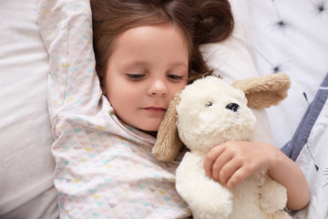 Indoor shot of beautiful European girl with dark hair in light pajamas lying in bed with her soft white dog toy, charming cute female kid relaxing at home in morning, dark haired child in cot.