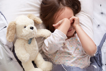 Sleepy pretty little child rubbing her eyes in morning while lying in bed. Lovely small child with dark natural hair lies on comfortable bed with her soft white toy dog, relaxing in cot in morning.