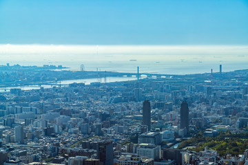 Naklejka premium 東京スカイツリーから見る街並み 葛西臨海公園方面