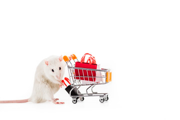 rat holding shopping cart with shopping bags on white background in New Year © LIGHTFIELD STUDIOS