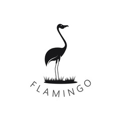 Fototapeta premium Flamingo bird logo design concept template vector