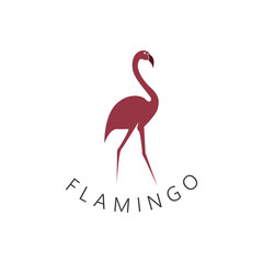 Flamingo bird  logo design concept template vector