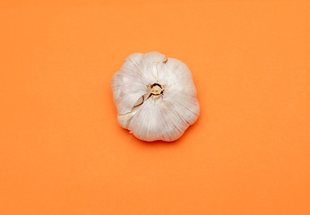 Garlic Build on orange backdrop