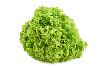 Iceberg lettuce isolated on white background.