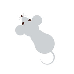 Cute mouse view from above.