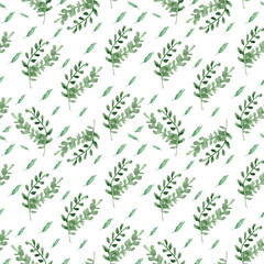 Fototapeta premium Watercolor plants.Used for wedding and greeting cards,posters,wallpapers,print,postcards and paper.