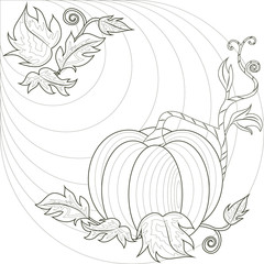 Pumpkin coloring book page for kids