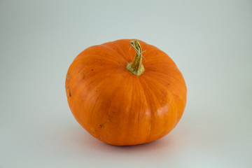 halloween orange natural pumpkin white background