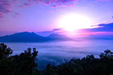 Fototapeta na wymiar View of the misty landscape with morning sunrise at Phu Thok Mountain, Chiang Khan, Loei Province, Thailand