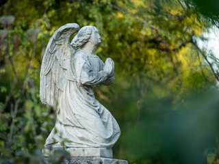 Detail of an old gravestone in St. Marx Cemetery in autumn