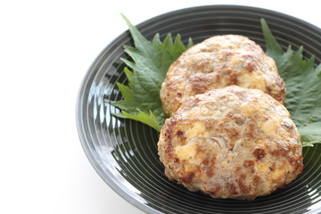 Homemade Tofu patty on dish with copy space