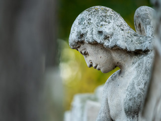 Detail of an old gravestone in St. Marx Cemetery in autumn - obrazy, fototapety, plakaty