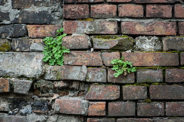 Old brickwork, a fragment of the wall