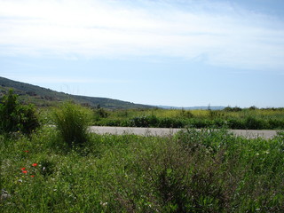 Beautiful landscapes in South Lebanon Middle east