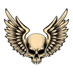 Illustration of winged skull in tattoo style isolated on white background. Design element for logo, label, badge, sign. Vector illustration