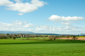 Fototapeta na wymiar Springtime landscape in the Herefordshire countryside of England
