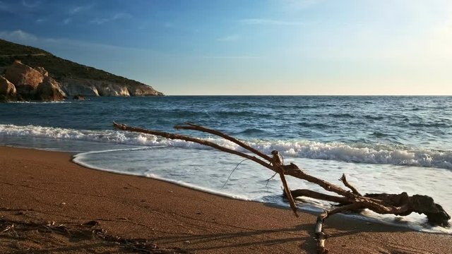 Piece of driftwood in tidal waves at beautiful sunset
