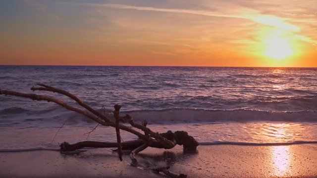 Piece of driftwood in tidal waves at beautiful tropic sunset