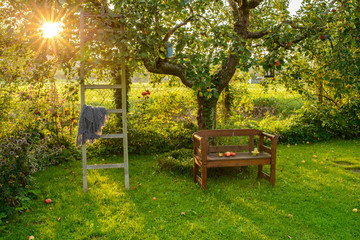 Gartenbank und Holzleiter in einem Schrebergarten