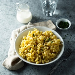 Homemade macaroni with cheese sauce