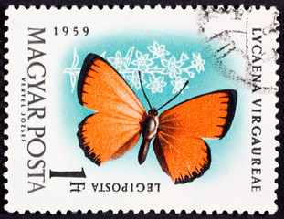 Fototapeta na wymiar Stamp from Hungary with a photo of a beautiful single colored butterfly on paper