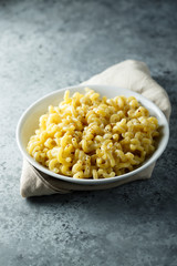 Homemade macaroni with cheese sauce