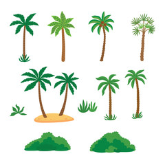 Set tropical palm trees with green leave and bushes.